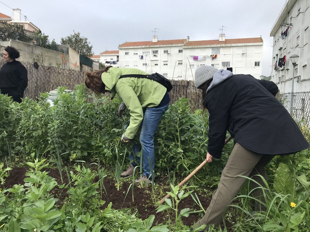 Aprender a mexer na terra e a plantar legumes no Bairro 2 de Maio