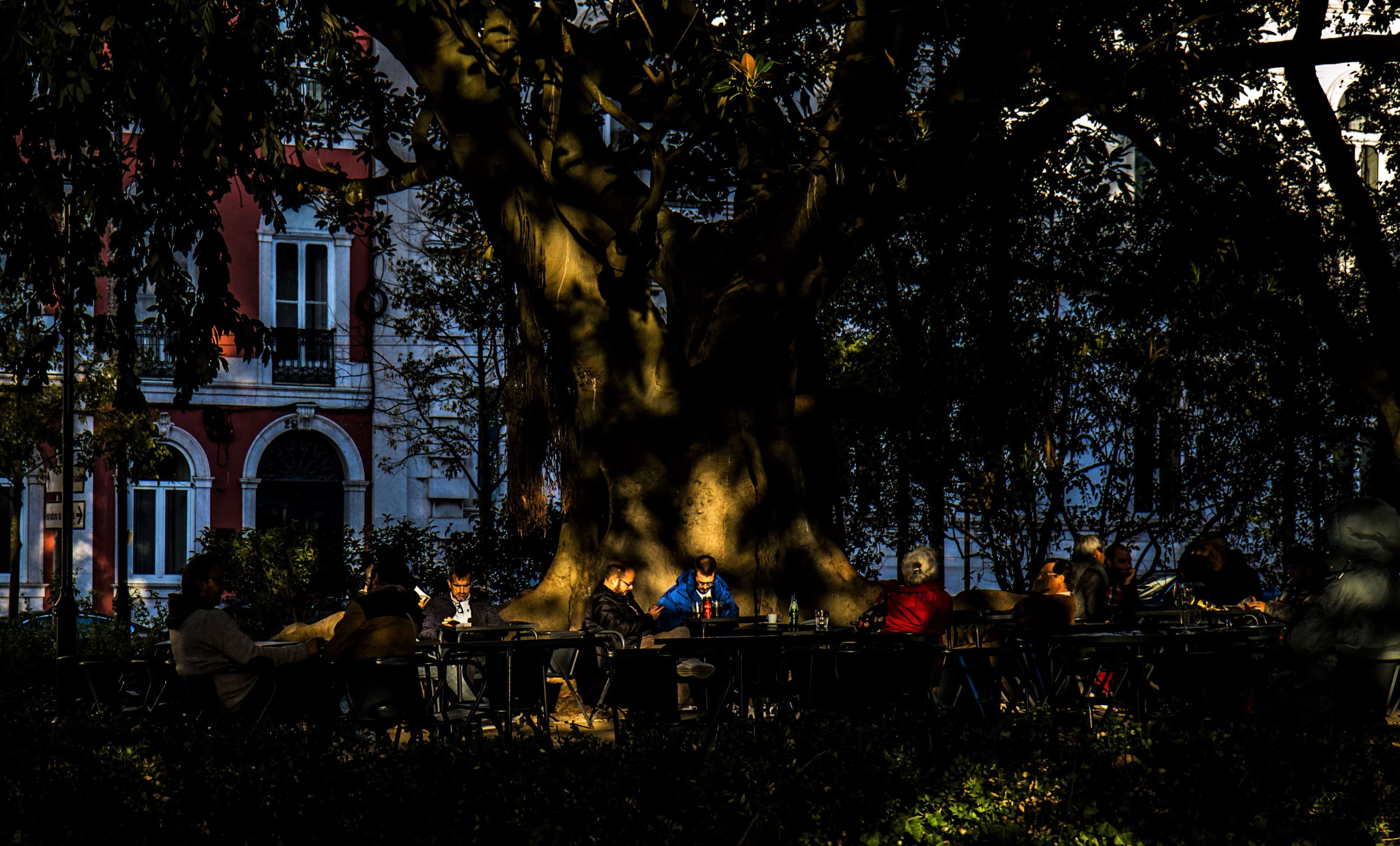Os jardins de Lisboa (Portfólio)